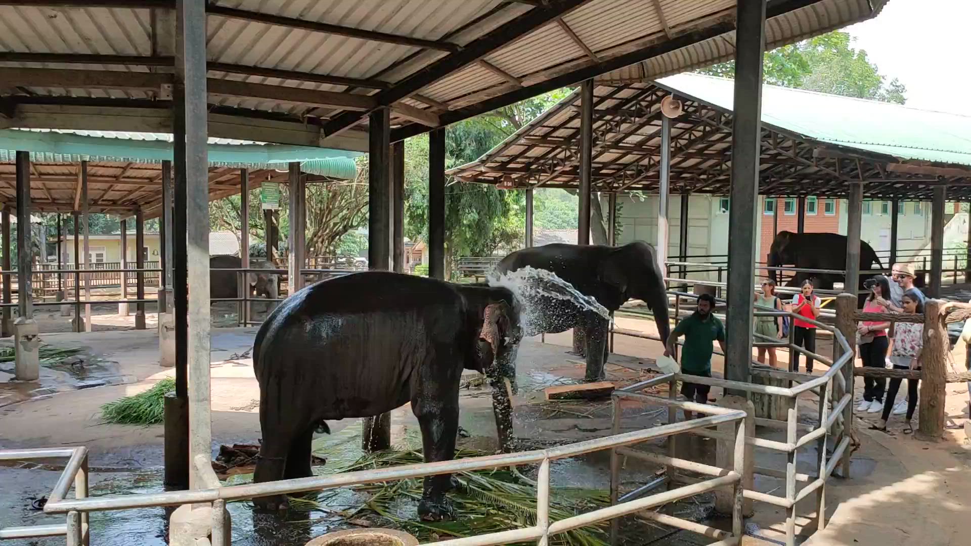 Vídeo de reseña del cliente sobre Lo mejor de Sri Lanka con aventuras y lujo en las Maldivas