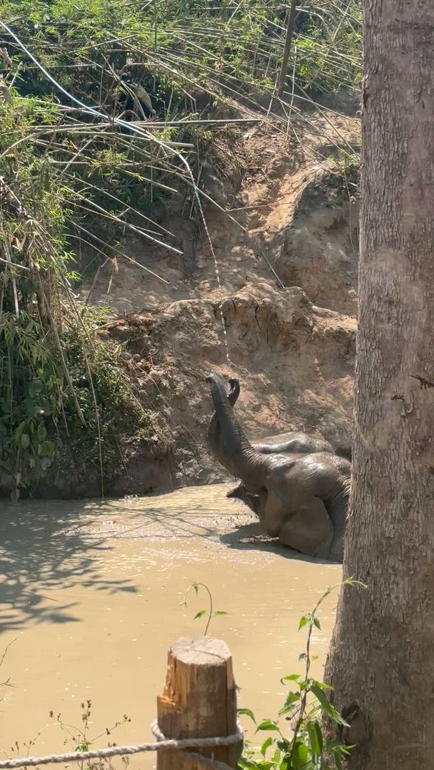 31-Day Southeast Asia Adventure: Thailand, Laos, Vietnam, and Cambodia customer review video