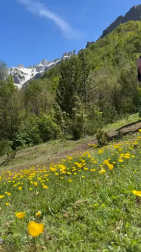 Vind een Wandelen & trekking reis die naar Balkan gaat. Er zijn 304 rondreizen om uit te kiezen, met een minimum duur van een dag tot wel 21 dagen. De meest populaire maand voor deze reizen is september, dan beginnen de meeste reizen.