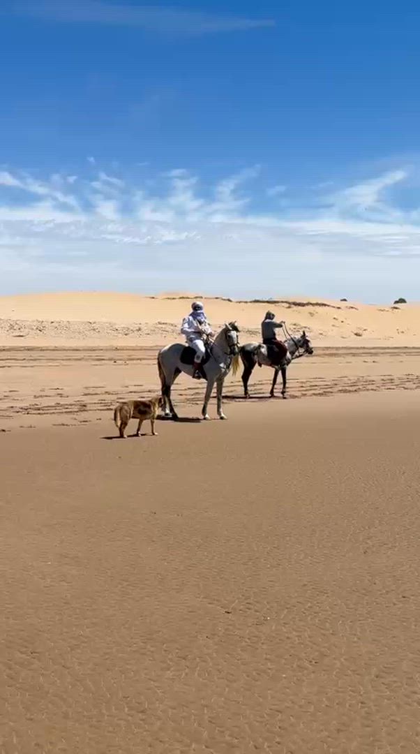 video met klantbeoordeling van 8-Daagse luxe rondreis door de Agafay-woestijn, het Atlasgebergte en de kustlijn