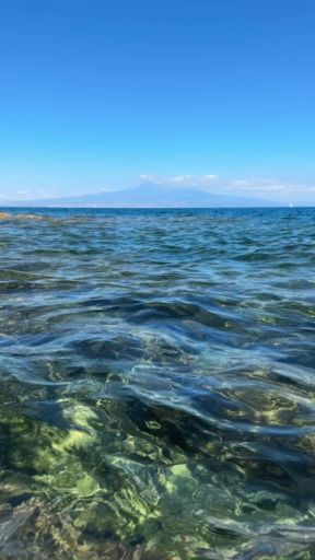 Trouvez votre aventure idéale au Méditerranée. Nous avons 8618 à vous proposer aux Méditerranée durant entre une journée et 42 jours.