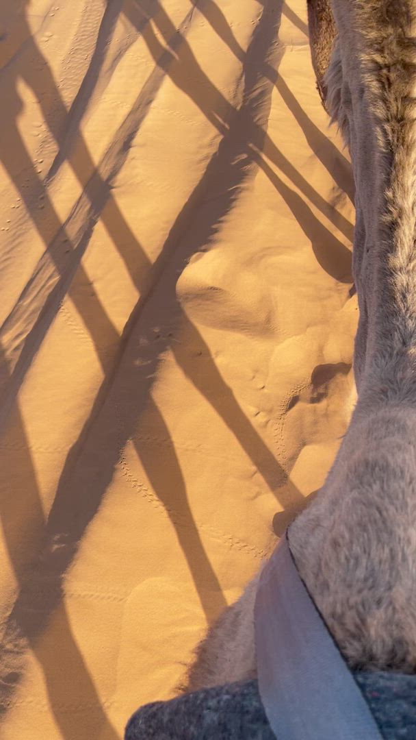 Die Highlights von Marokko customer review video