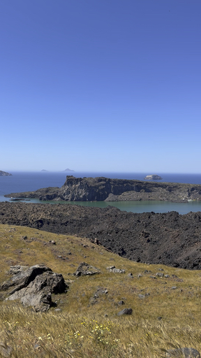 Sail the River Thames for a fresh perspective on London's iconic sights, and take your time exploring the city's well-known landmarks. Experience Paris's stunning architecture and its vibrant arts scene, or meander through Zurich's picturesque Old Town, where medieval structures hug the cobblestone lanes. Marvel at Milan's magnificent Duomo and the chic galleries that blend fashion and art. Western Europe is a true delight.