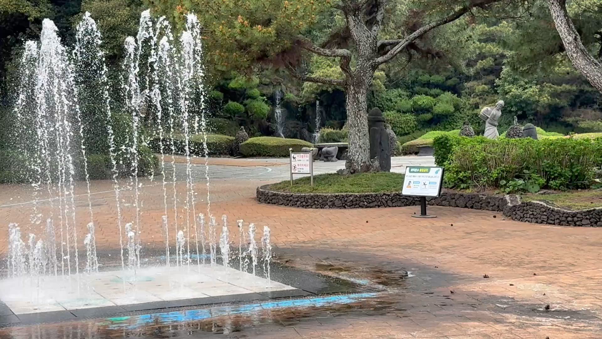 LUXURY CLASSIC SOUTH KOREA TOUR customer review video