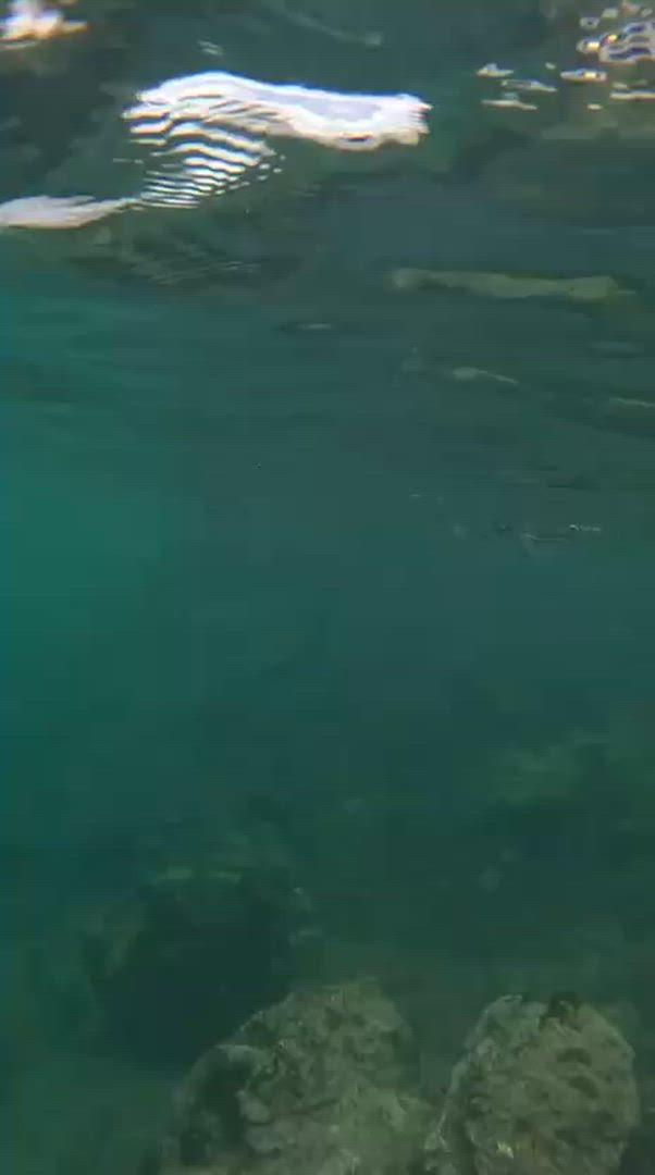 Vídeo de reseña del cliente sobre De isla en isla por los Galápagos en Santa Cruz e Isabela - 10 días