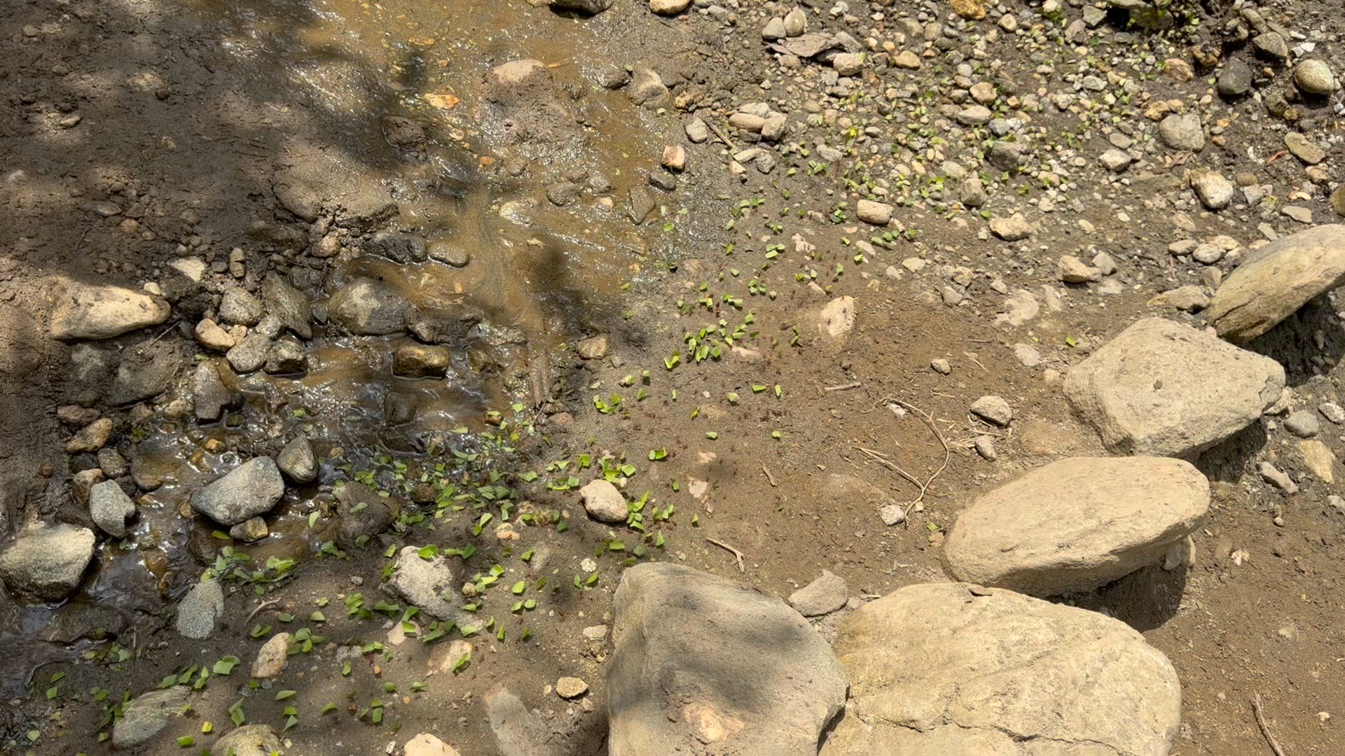 Colombie - Trekking dans la cité perdue customer review video