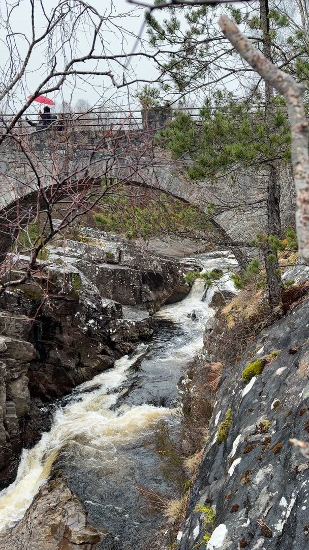 Schottische Highlands ab Edinburgh - 5 Tage Kundenbewertungsvideo