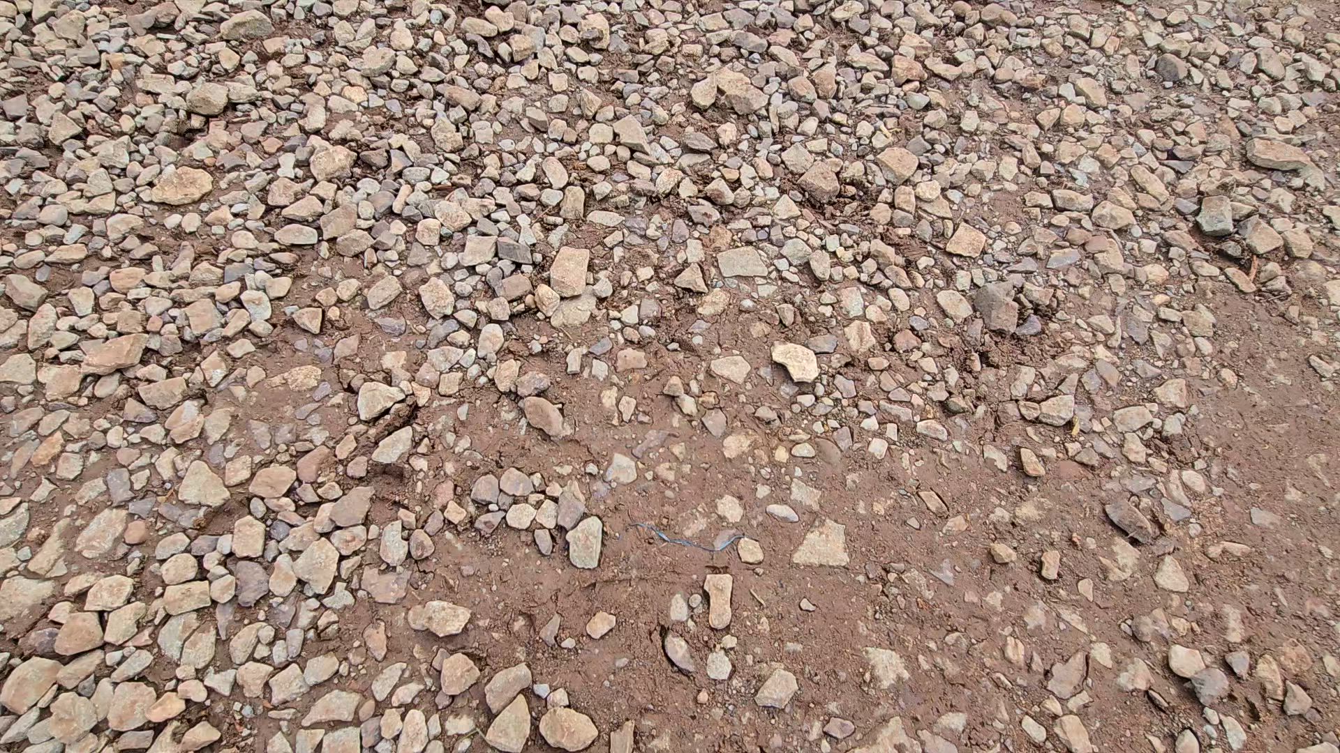 Vídeo de reseña del cliente sobre Aventuras Incas - 7 Días (Lima, Paracas, Ica, Cusco, Machu Picchu y Montaña Arco Iris) - Con Vuelos Nacionales