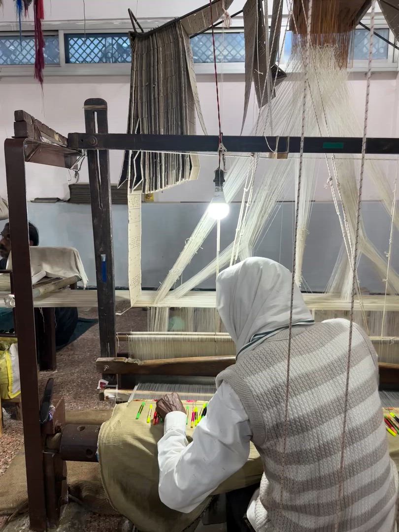 Adventures Ranthambore Wildlife Safari Tour avec l'Inde du Nord complète 15 jours customer review video