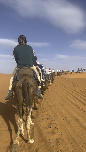 Trouvez votre circuit idéal au Maroc. Nous avons 2404 aventures à vous proposer au Maroc entre une journée et 30 jours.