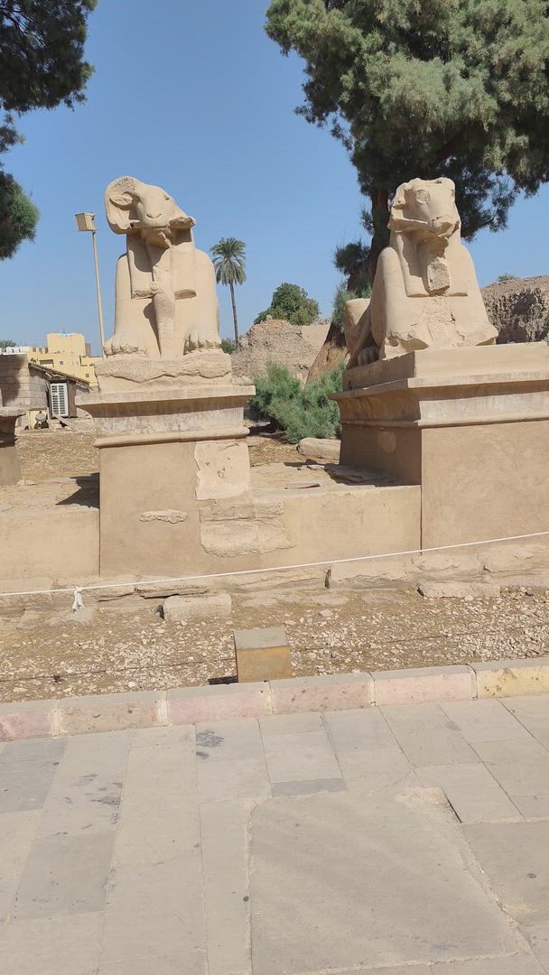 Vídeo de reseña del cliente sobre El Cairo y Crucero por el Nilo - GEM y Vuelo de ida y vuelta incluidos