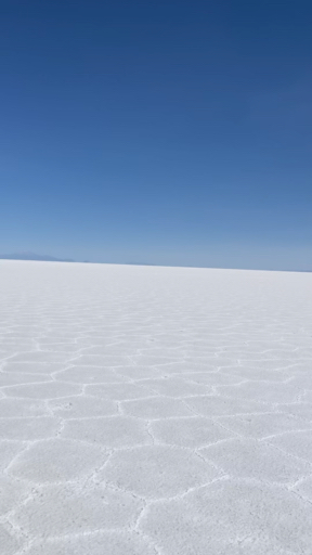 Think the Bolivian Altiplano is just the salt flats? This high-altitude plateau includes Uyuni's salt flats obviously, but also Potosí's silver mining history, Sucre's colonial elegance, and Lake Titicaca's indigenous cultures. Visit Eduardo Avaroa Reserve with colored lagoons, hot springs, and bizarre rock formations. The Altiplano's harsh, but the landscapes are otherworldly. It's Bolivia at its most distinctive.