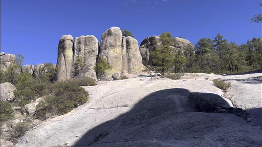 Trouvez votre circuit idéal au Mexique. Nous avons 290 aventures à vous proposer au Mexique entre une journée et 28 jours.