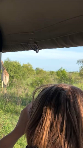 Ever wondered what safari country looks like near a major city? From Johannesburg, Pilanesberg Game Reserve offers a chance to see the Big 5 in open habitat. Guided drives move through the reserve at a steady pace, while Hartbeespoort Dam adds a quieter stretch of scenery along the way. It’s a straightforward mix of wildlife and nearby landscapes.