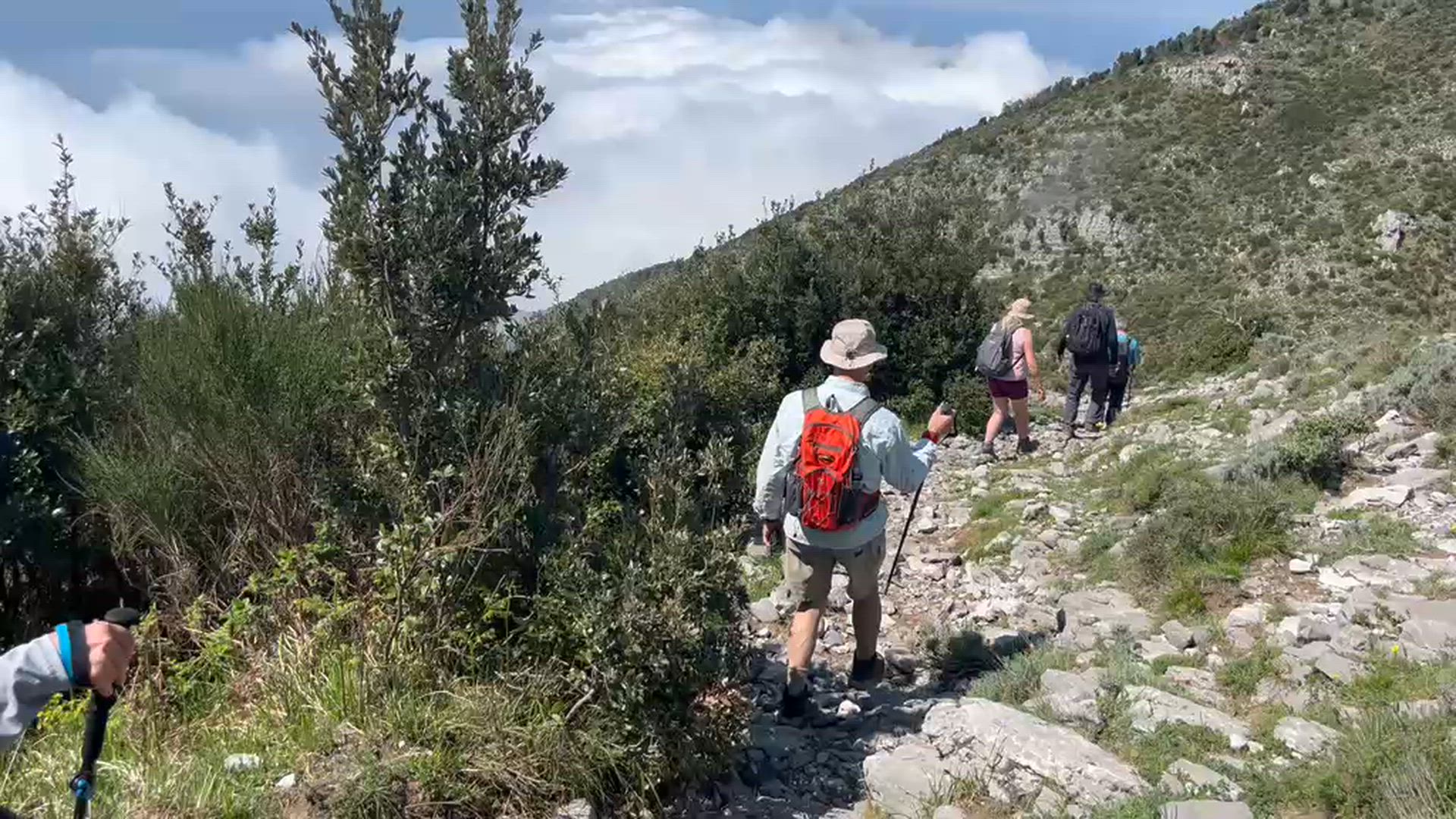 Trouvez votre Méditerranée circuit marches sur la côte idéal. Vous avez le choix entre pas moins de 132 voyages durant entre 5 et 16 jours. Le mois comptant le plus grand nombre de départs est Septembre, ce qui en fait le moment le plus apprécié pour aller en Méditerranée.