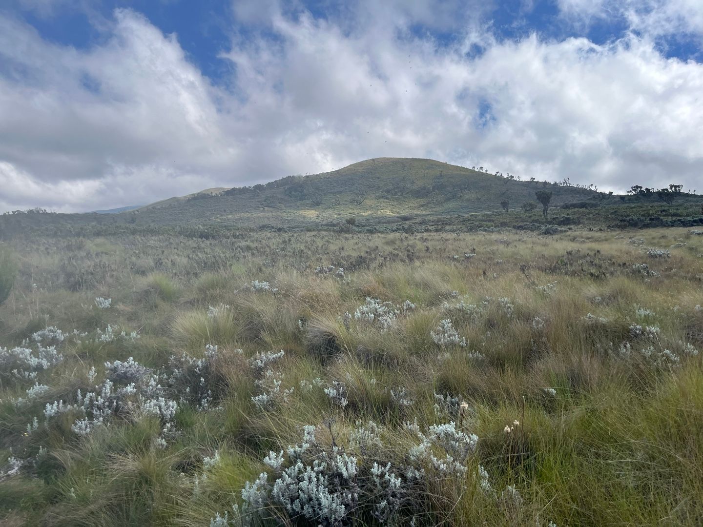 Kilimanjaro climb marangu route 6 days