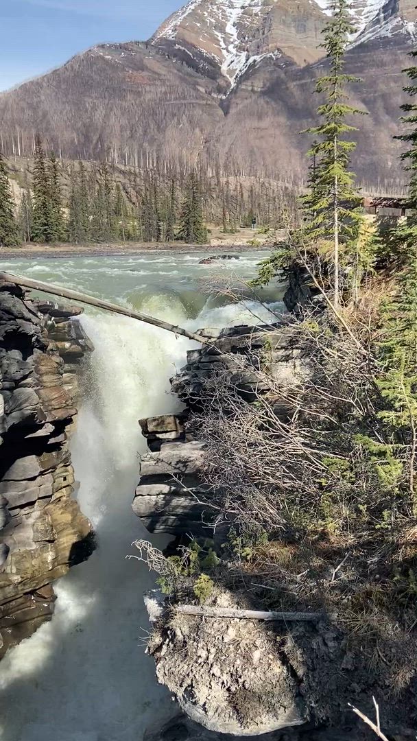 Onze begeleide reizen door Noord-Amerika nemen je mee door het adembenemende landschap van Niagara Falls en <a href="/nl/v/staat-alaska">Alaska</a>, de <a href="/nl/v/regio-oostkust-usa">oostkust</a> of <a href="/nl/v/regio-westkust-usa">de westkust</a>, en meer. Blijf dicht bij de natuur door een bezoek te brengen aan het Yellowstone National Park, de <a href="/nl/v/berg-canadese-rockies">Canadese Rockies</a> of <a href="/nl/v/staat-hawaii">Hawaii</a> met avontuurlijke pakketten die zowel betaalbaar als van hoge kwaliteit zijn.