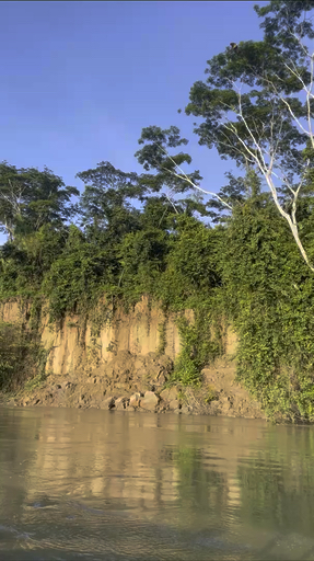 Misty mountains, lush rainforests, ancient temples, and huge mountain passes - it’s all waiting for you in South America. From the legendary Inca Trail to mysterious Machu Picchu, history sits around every corner. Patagonia will mesmerize you with its landscapes, and Rio with its Samba magic. Meet friendly locals, try delicious food, and soak up everything South America has to offer.