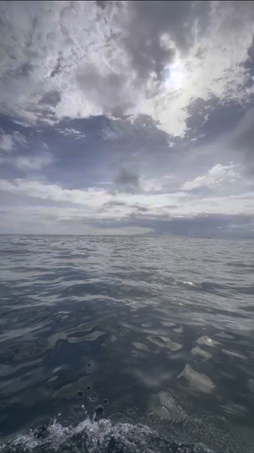 Trouvez votre circuit idéal en Amérique latine. Nous avons 4390 aventures à vous proposer en Amérique latine entre une journée et 136 jours. Le mois le plus apprécié pour s'y rendre est octobre, c'est-à-dire le mois qui compte le plus grand nombre de départs.