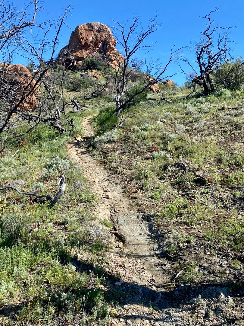 South Australia Outback Adventure