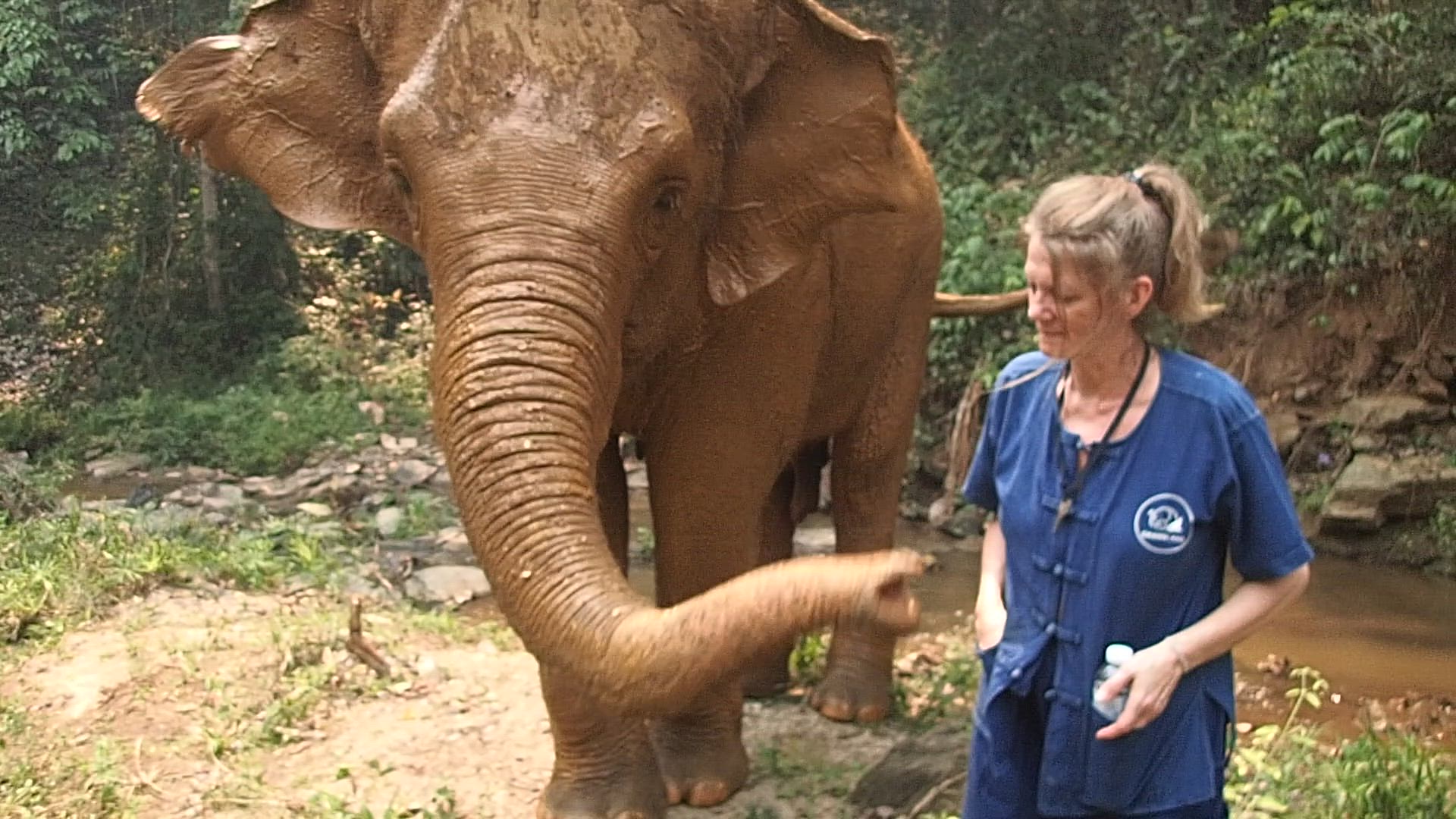 Vídeo de reseña del cliente sobre Tailandia clásica En 12 días - Bangkok/Chiang Mai/Phuket