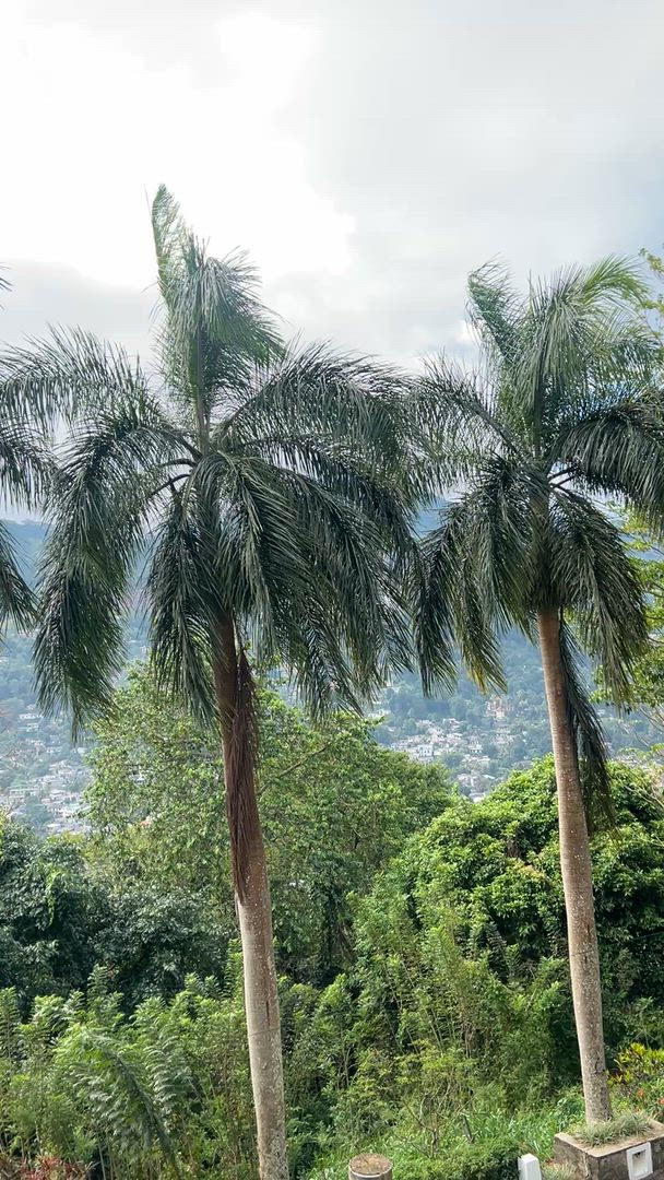 video met klantbeoordeling van Exclusieve rondreis door Sri Lanka
