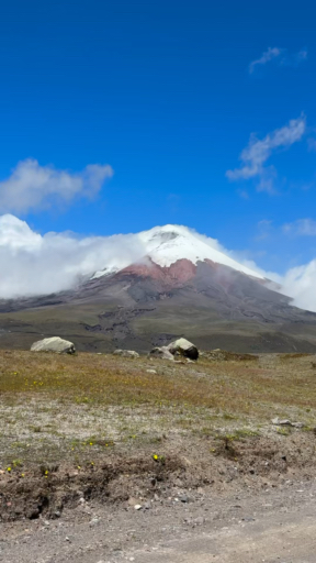 Trouvez votre circuit aux Avenue des Volcans idéal. Nous avons 162 aventures à vous proposer aux Avenue des Volcans durant entre 3 et 18 jours. Le mois le plus apprécié pour s'y rendre est Août, c'est-à-dire le mois qui compte le plus grand nombre de départs.