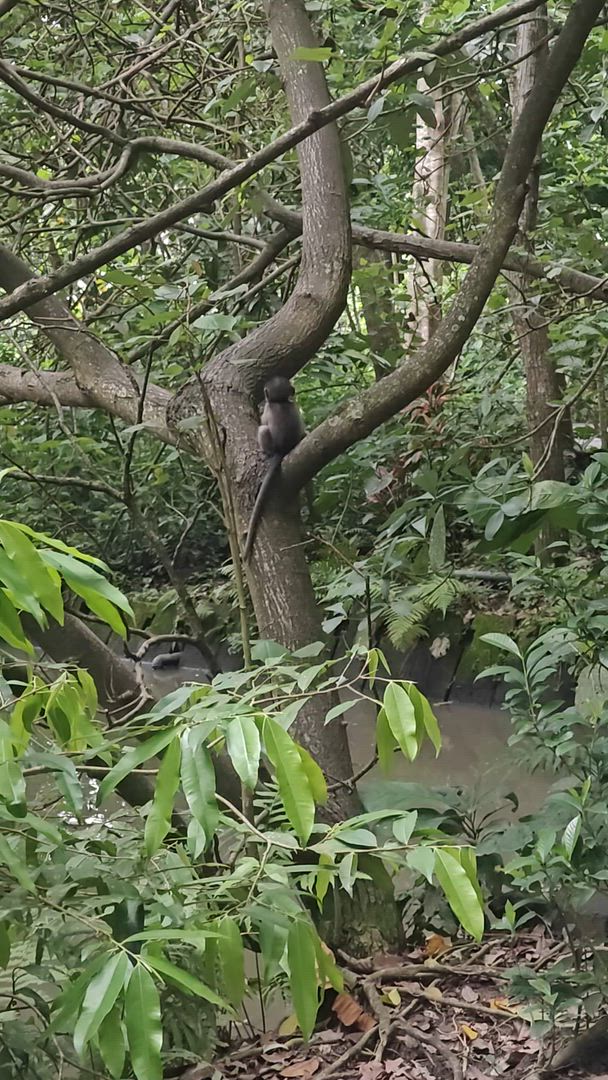 Vídeo de reseña del cliente sobre Bali Intro 12 días