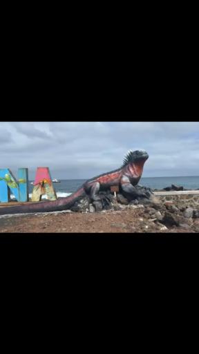 Stand before the giant tortoises, splash around with the sea lions at La Lobería, and paddle a kayak in the breathtaking Tortuga Bay, where unspoiled beaches and marine iguanas await. Hike the enormous Sierra Negra Volcano crater, or explore the Tintoreras Islet, a living testament to evolution, home to remarkable marine animals.