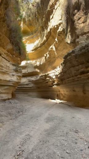Trouvez votre Afrique circuit camping idéal. Vous avez le choix entre pas moins de 667 voyages durant entre une journée et 100 jours. Le mois comptant le plus grand nombre de départs est Octobre, ce qui en fait le moment le plus apprécié pour aller en Afrique.