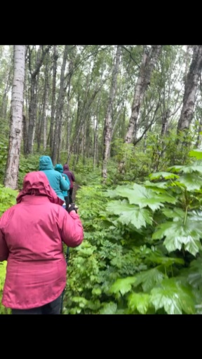 Van rondvluchten en gletsjerwandelingen tot wildwaterraften, Alaska biedt eindeloze mogelijkheden voor avontuur. Verken de met sneeuw bedekte bergen in <a href="/nl/d/denali-nationaal-park">Denali National Park</a>, kijk hoe het <a href="/nl/f/noorderlicht"> grillige noorderlicht</a> boven <a href="/nl/d/fairbanks">Fairbanks danst</a>, of bezoek Point Woronzof om ongelooflijke<a href="/nl/vi/staat-alaska-wildlife"> dieren in het wild te zien</a>, zoals Amerikaanse zeearenden, elanden en misschien zelfs beluga-walvissen.Na je eerste bezoek aan de Last Frontier, zul je merken dat je keer op keer met plezier terugkeert.