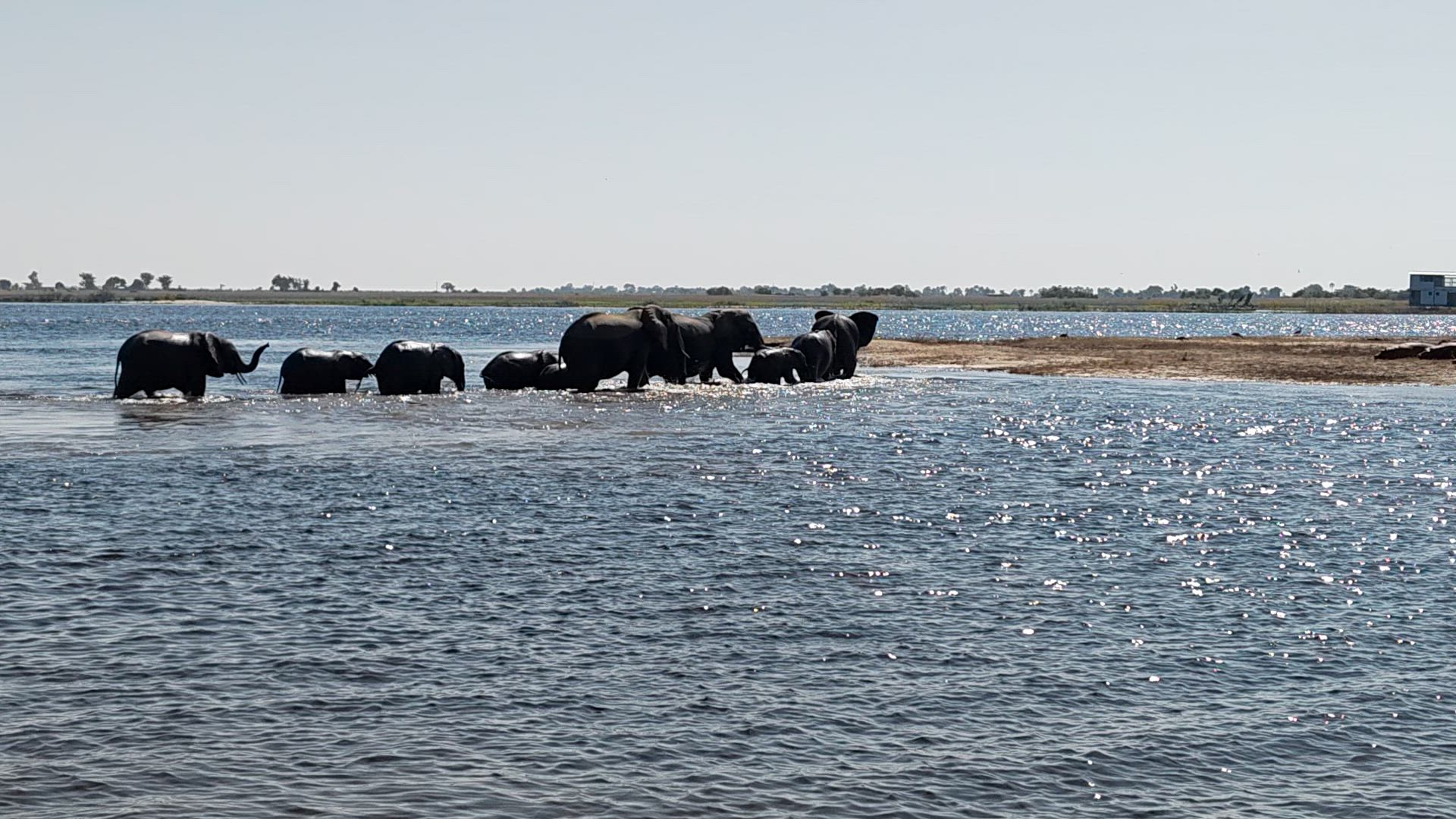 Vídeo de reseña del cliente sobre Experiencia Okavango