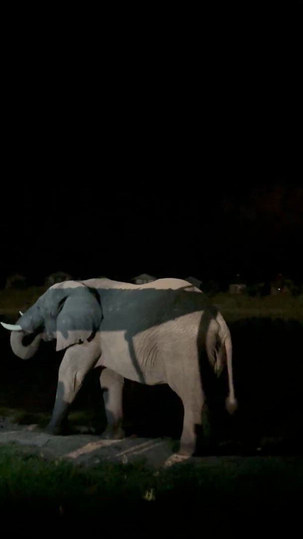Vídeo de reseña del cliente sobre Delta y cataratas en dirección este: Árboles baobab y vistas al río