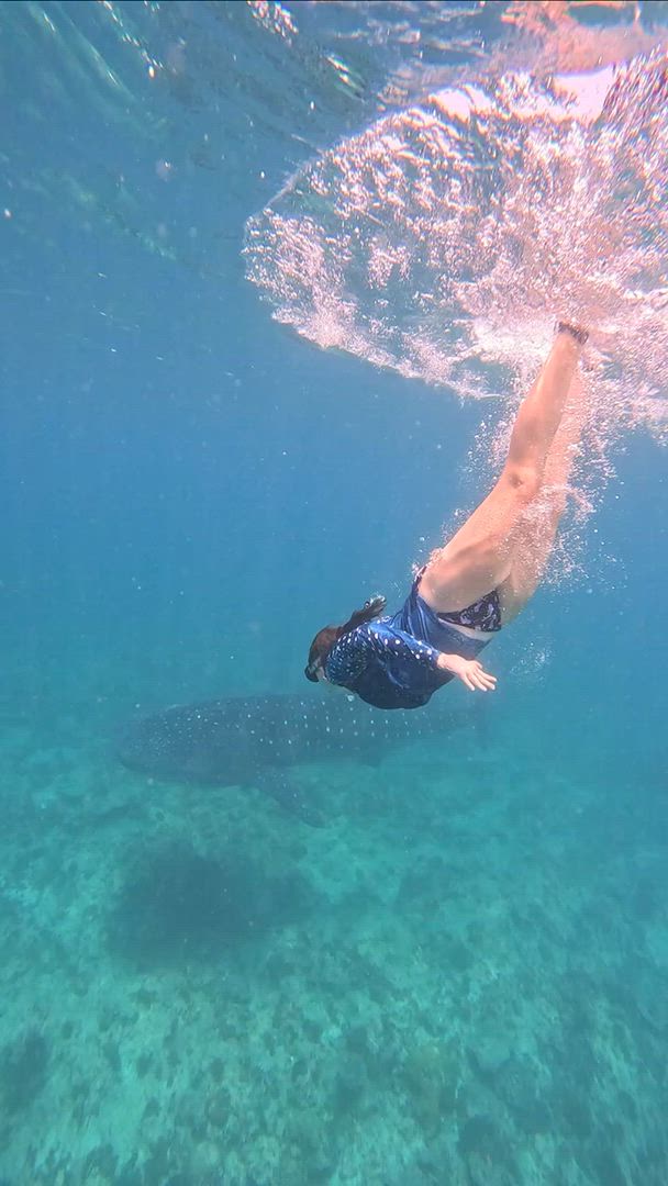 Vídeo de reseña del cliente sobre ¡Excursión en grupo a las Maldivas! Tiburones ballena, mantarrayas, naufragio y visita a un complejo turístico