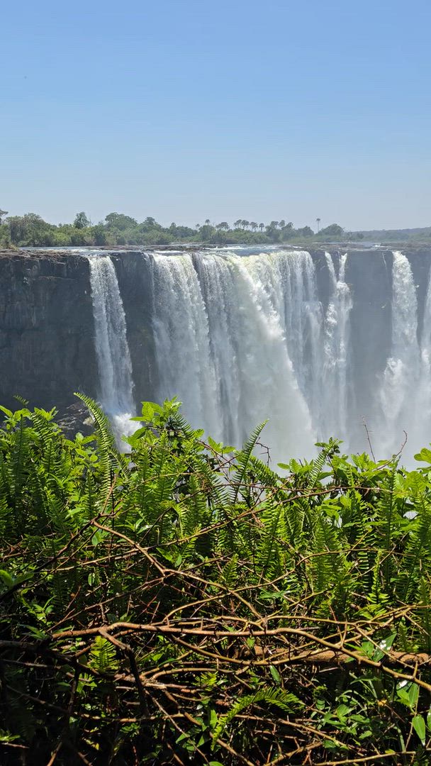 Vídeo de reseña del cliente sobre 11 días de gran expedición de safari: llanuras de Busanga, Kafue, Mosi-oa-Tunya (Zambia), Chobe (Botsuana) y las cataratas Victoria (Zimbabue).