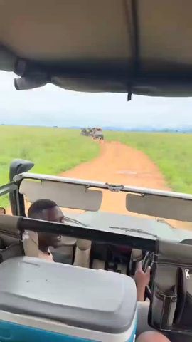 5- Days Tanzania Safari Experience Tour