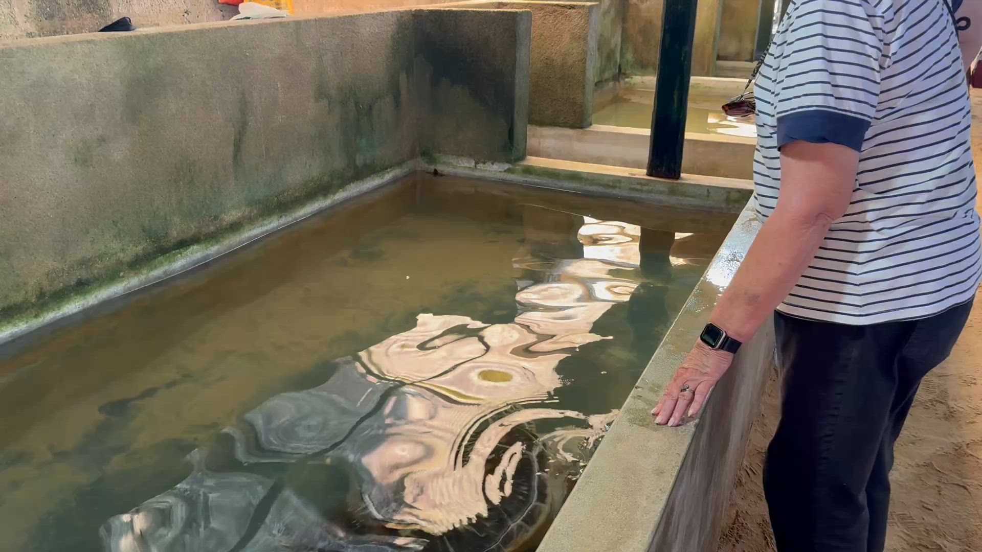 Merveilles intemporelles du Sri Lanka customer review video