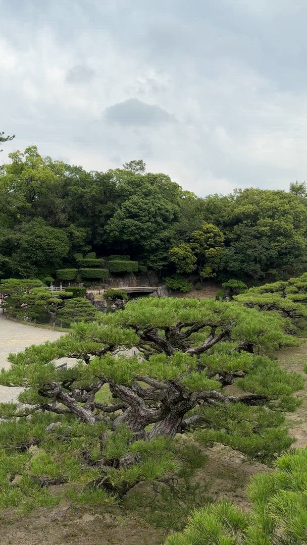 14 Jours Japon Panoramique (Hôtels privés 3 étoiles) customer review video