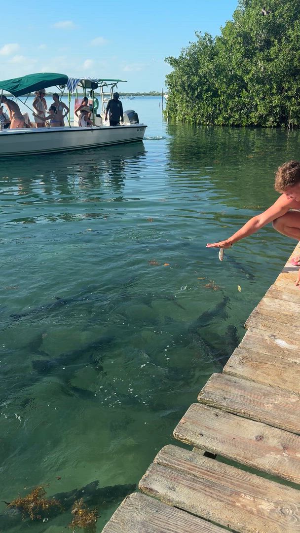 Intro sur l'Amérique centrale customer review video