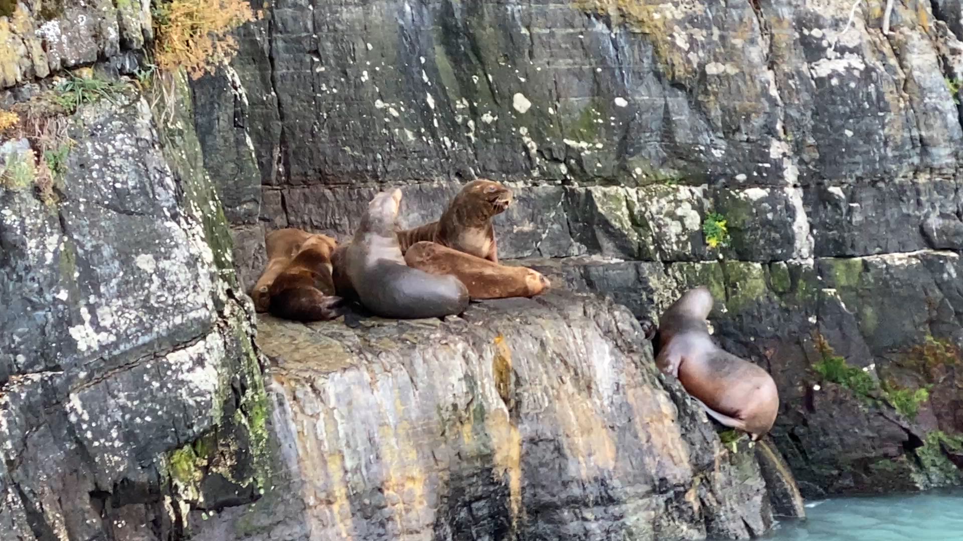 Vídeo de reseña del cliente sobre Aventura definitiva de 11 días en la Patagonia: Viaje desde Santiago a Chile y Argentina