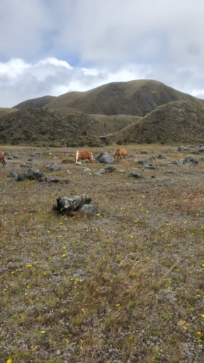 Vind een Avontuur & Adrenaline reis die naar Ecuador gaat. Er zijn 103 rondreizen om uit te kiezen, met een minimum duur van een dag tot wel 18 dagen. De meest populaire maand voor deze reizen is oktober, dan beginnen de meeste reizen.