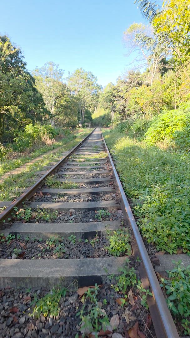 Sri Lanka - Temples &amp; plantations de thé customer review video