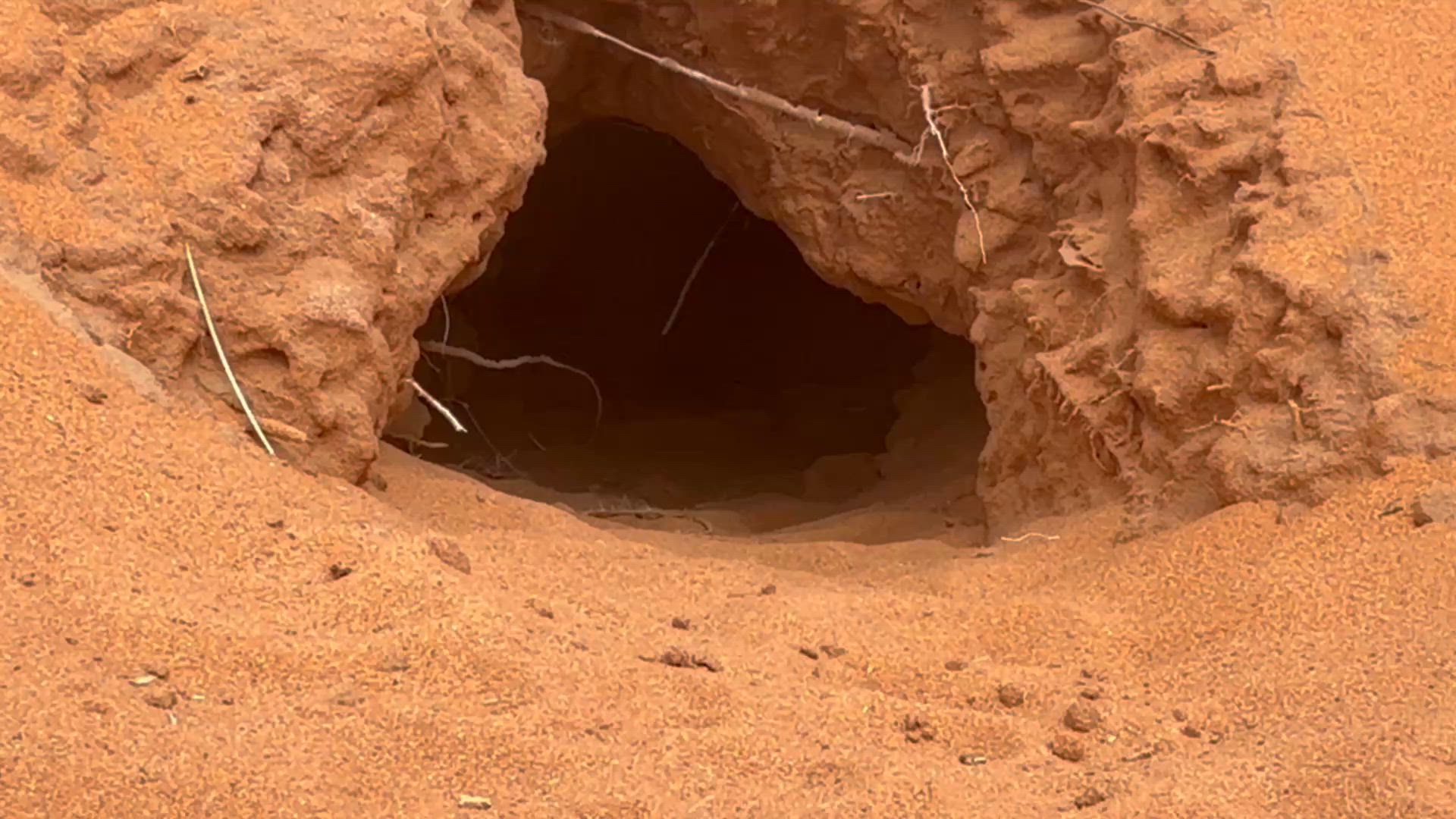 8-Days Private Morocco Tour From Marrakech To Imlil Atlas Mountains &amp; Trekking customer review video