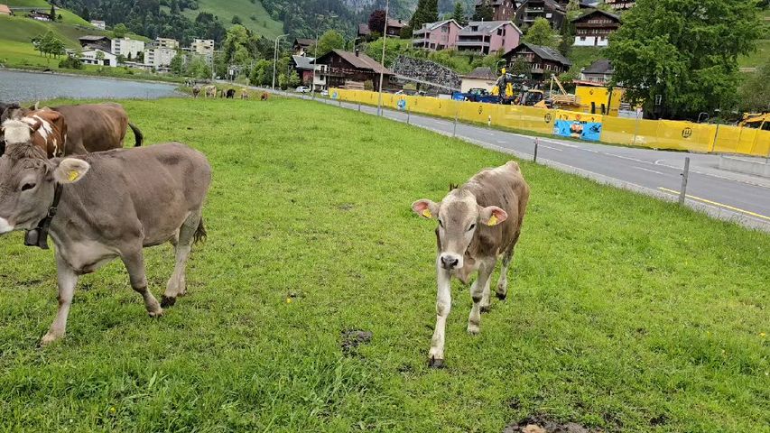 Landstraßen der Schweiz Kleingruppenreise Rundreise