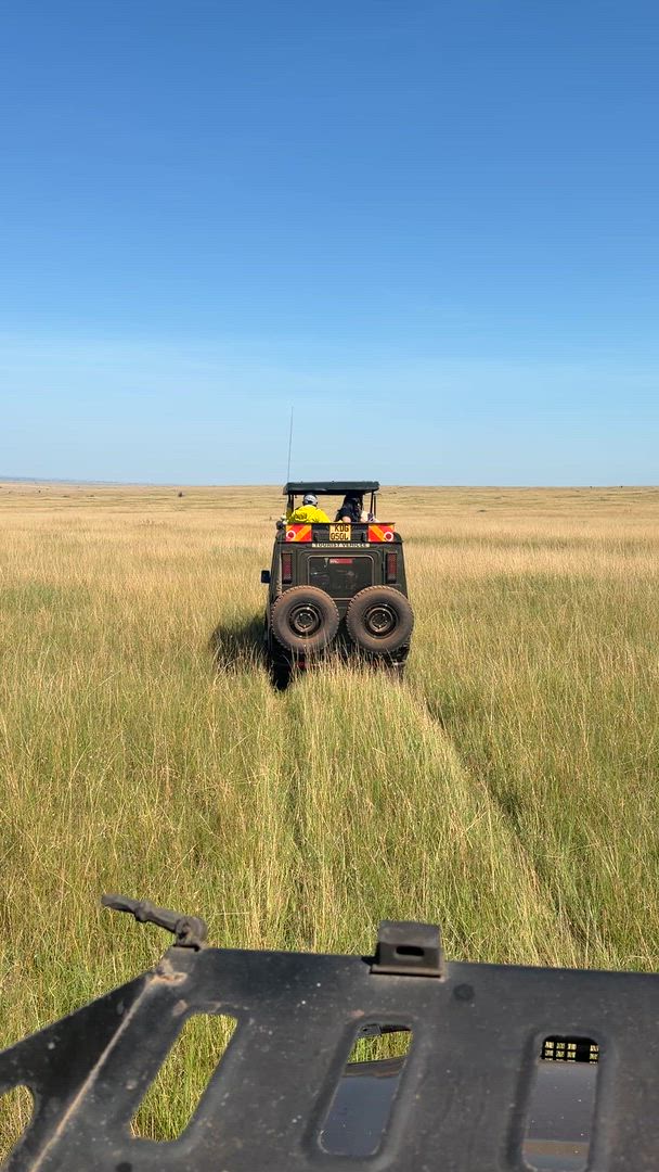Vídeo de reseña del cliente sobre Safari de lujo de 10 días en Masai Mara, Kenia - Viaje asequible a la naturaleza y la playa