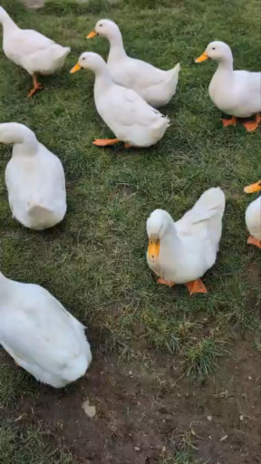 Choisissez parmi notre vaste sélection de 8352 circuits entièrement guidés et vivez une expérience sans tracas vers Europe, guidés par nos experts.