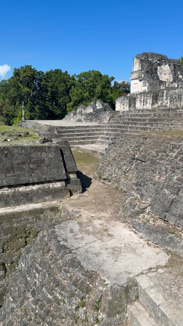 Vídeo de reseña del cliente sobre Tierra de Belice y Tikal