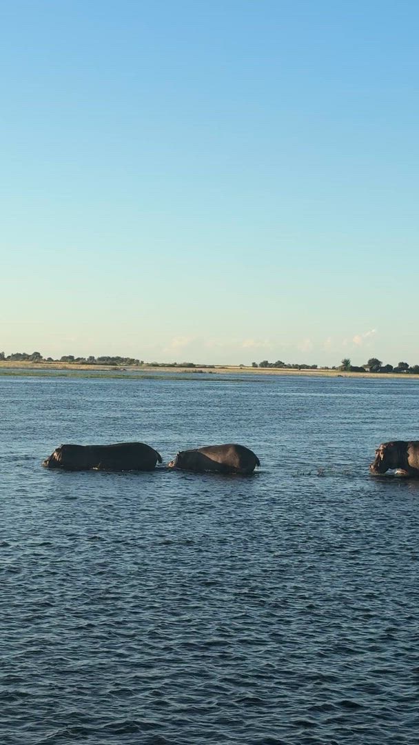 Vídeo de reseña del cliente sobre Delta y cataratas en dirección este: Árboles baobab y vistas al río