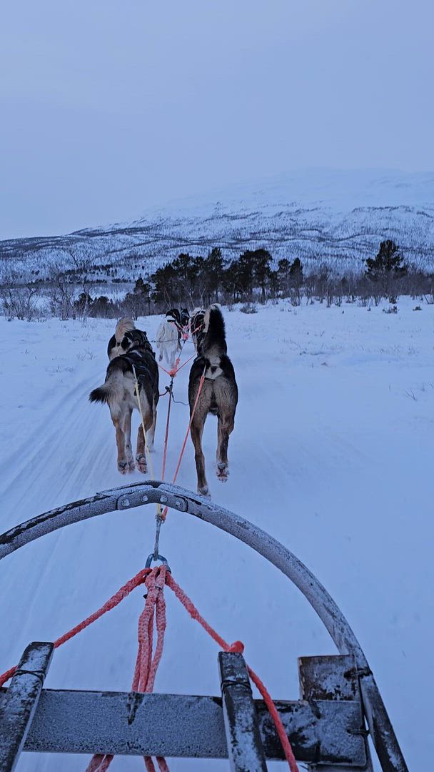 Laponie suédoise : Les aurores boréales customer review video