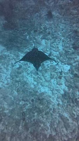 8 day Heavenly Maldives with adventures Tour